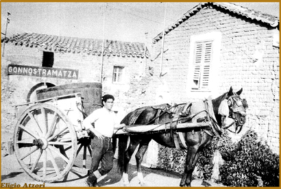 gonnos casalis2